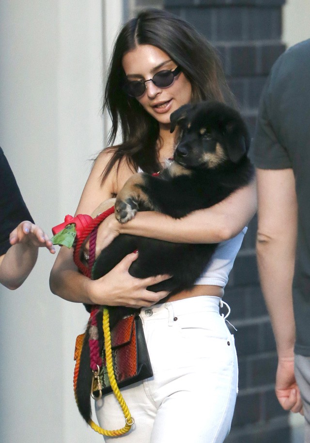 Napi cuki: Emily Ratajkowski kölyökkutyáját sétáltatja New Yorkban