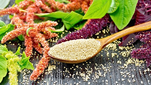 A világ legtáplálóbb élelmiszere, mégsem eszünk belőle eleget