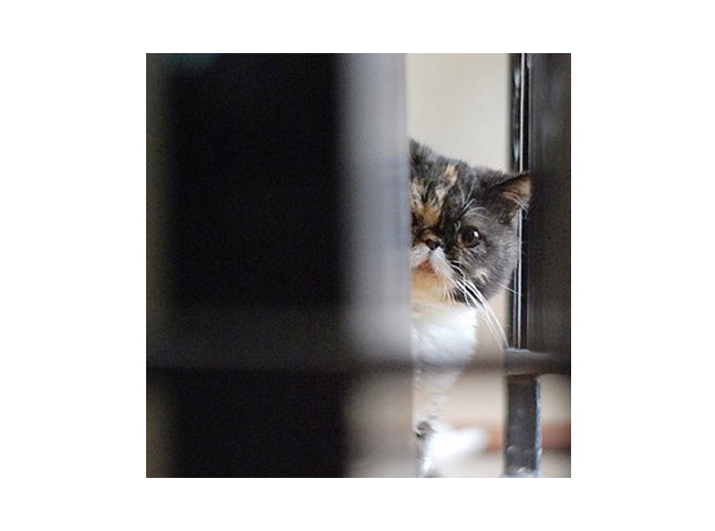 Glamour szerkesztőség