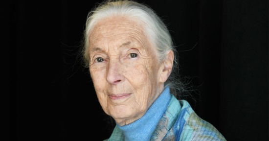 Ezek voltak Jane Godall utolsó szavai - A Netflix dokumentumfilmjét mindnekinek látnia kell