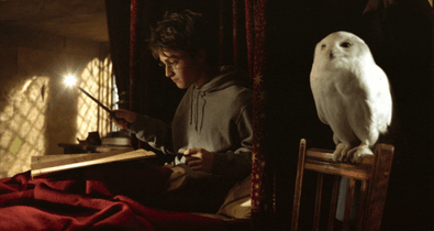 Mit keres Harry Potter a magyar oktatásban és a Google céges kultúrájában? Nagyon is sokat!