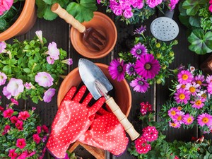 Súlyos hibát vétesz a kertben, ha tavasszal elköveted ezt a 4 dolgot!