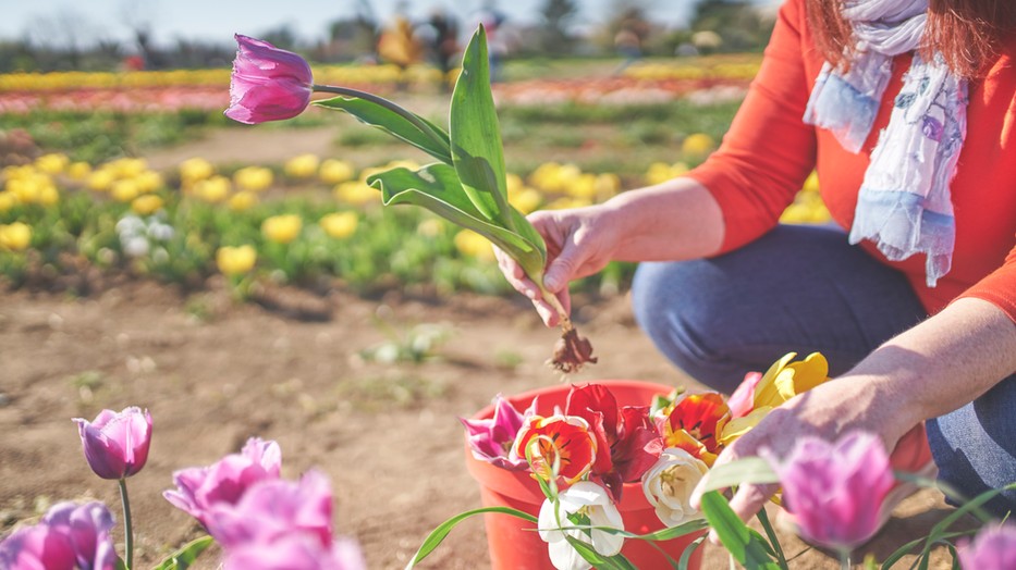 7 szuper programot ajánl a GLAMOUR-nagykövet a húsvéti hosszú hétvégére!