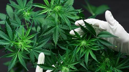 7 szépségtrend 2020-ban, amit muszáj kipróbálnod