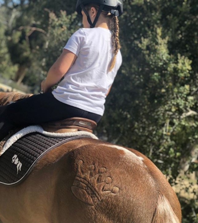 Harper Bekcham és lova