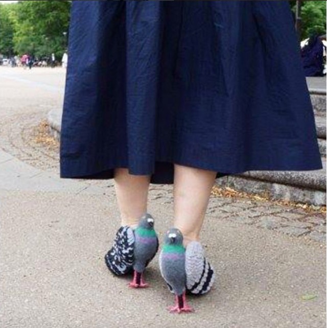 Ilyet még biztosan nem láttál! Itt a galamcipő