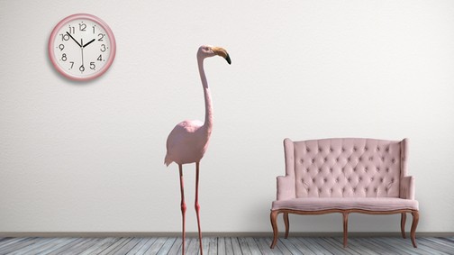 Tavaszi csicsergés - A legcukibb madaras dekorációk, amik nem hiányozhatnak lakásodból