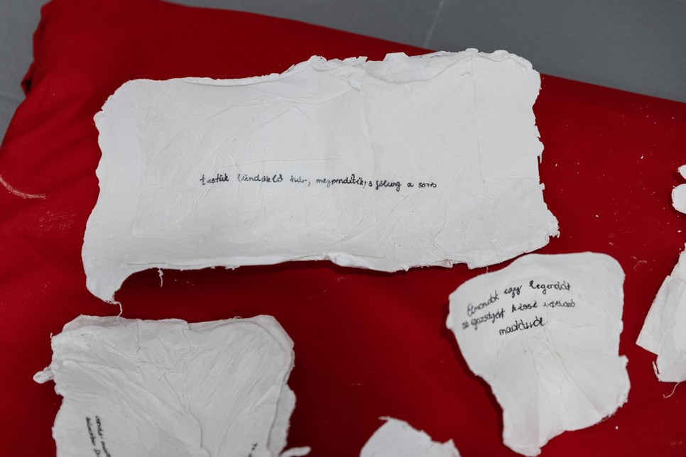 Horváth Anita Átmenet