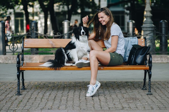 Ilyen a nap, amikor nincs egy kutya sem...