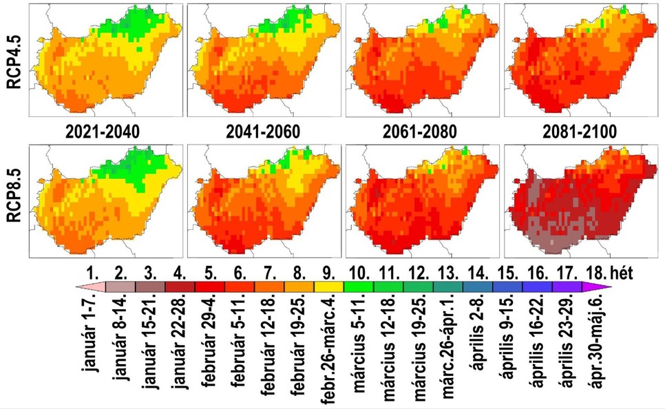 3. ábra: A hidegtűrő növények vegetációs időszakának átlagos évi kezdetei 2021-2040, 2041-2060, 2061-2080 és 2081-2100-ra az optimistább RCP4.5 (fent) és pesszimista RCP8.5 (lent) forgatókönyvet figyelembe vevő 6-6 modellszimuláció átlagára. A szerzők ábrája.