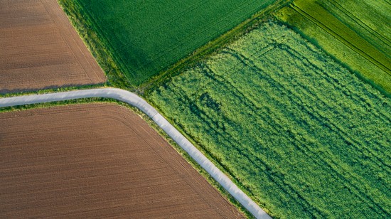 Top 5 természetfilm a Netflixen Föld napjára