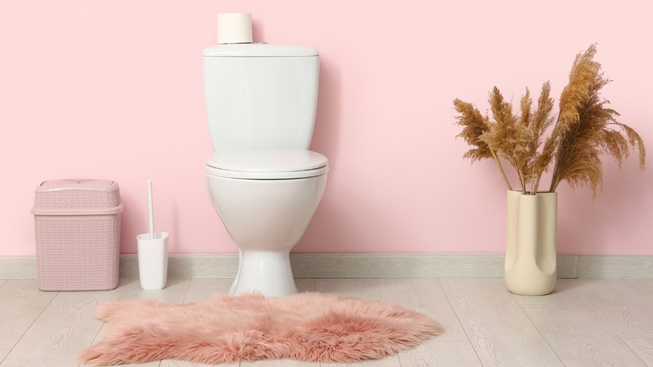 A klasszikus wc kefe helyett ezt érdemes használni 