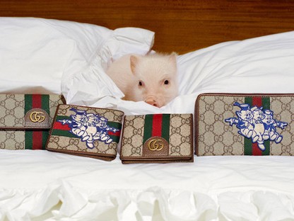 Ha te is úgy imádod a törpemalacokat, mint én, akkor visítani fogsz a Gucci új kampányától