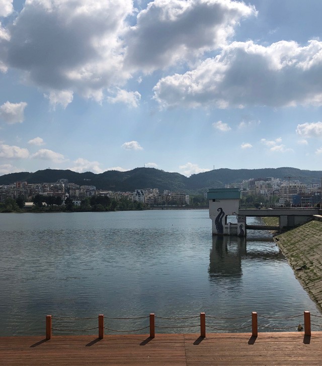 Városi park, Tirana