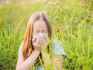 5+1 dolog, amit nem tudtál a parlagfűről, pedig igenis kellene