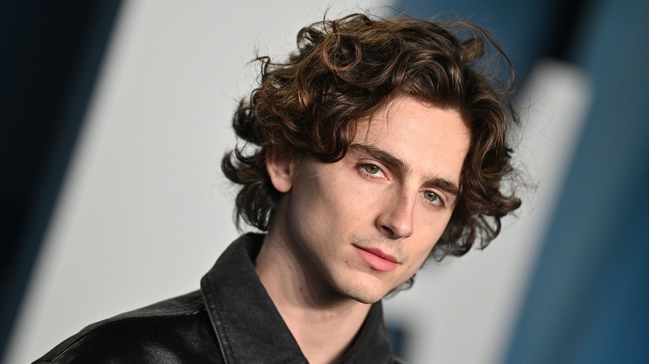 Timothée Chalamet is kint volt a Szigeten, vannak róla fotók!