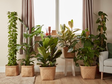 9 hétköznapi tárgy, ami titokban balszerencsét hozhat