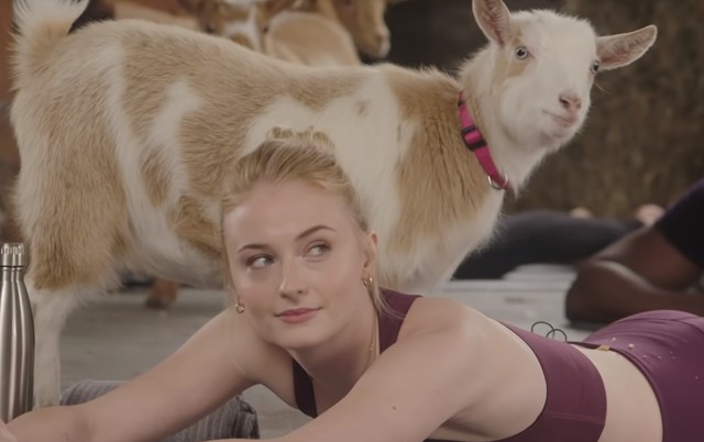 Sophie Turner kecskékkel jógázik és ez a legvagányabb dolog, amit ma látni fogsz