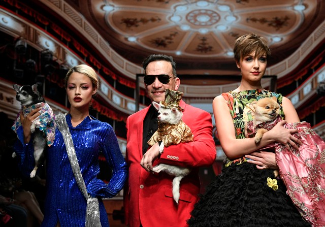 Állatokkal pózolni a vörös szőnyegen, és feldíszített kutyákkal parádézni a kifutón? Ez nincs rendben