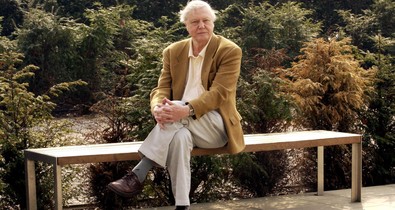 Az amatőr természetbúvártól Sir David Attenborough-ig: ők a televíziós ismeretterjesztés nagyágyúi