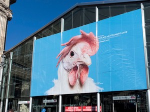 „Az ember egy furcsa, hazátlan állat, akinek meg kell csinálnia a helyét, és ennek az emberlétnek a kettősségéről és problémáiról beszélek a munkáimban” - beszélgetés Szalai Dániel fotóművésszel