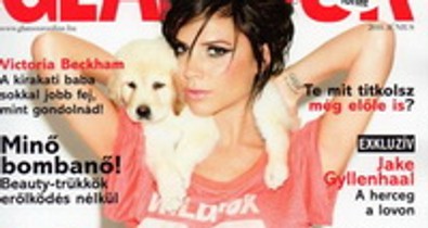 Melyik a kedvenc Beckham-borítótok?