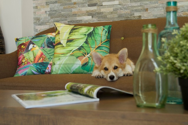 Én és a bútoraim - avagy vásároljunk-e online bútort?