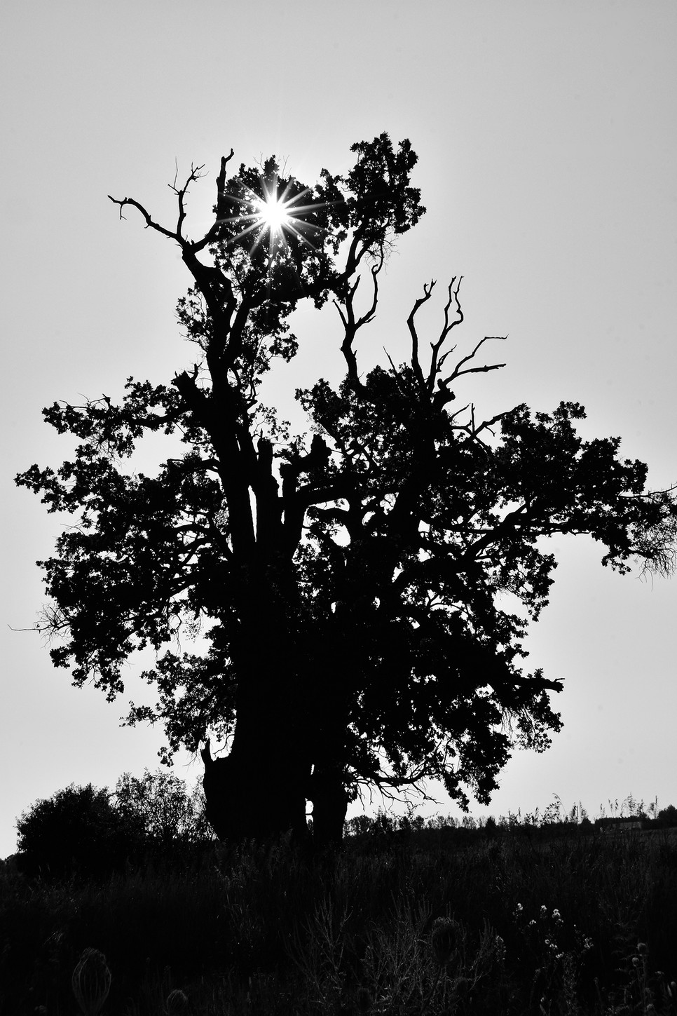Magyar tájak, ahogy még sosem láttad őket: Ismerd meg Herczeg Kinga fotóst