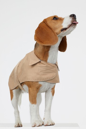 Ballonkabát H&M 3995 Ft