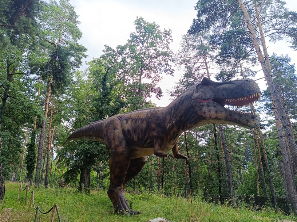 Mintha csak a Jurassic Park nyílna meg előttünk