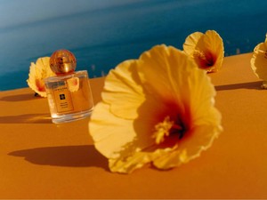 GlamDrop: Indulhat a tavaszi megújulás!