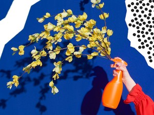 Zöld háztartás: környezetbarát és olcsó tisztítószerek otthonra