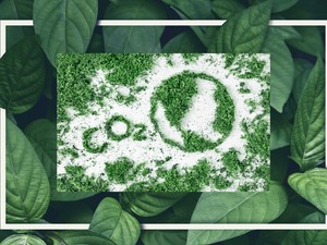 Karbonsemlegesítés. Kiváltható valamilyen módon a létezésünk káros oldala?