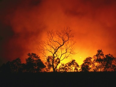 5 ok, amiért még komolyabban kell kezelni az éghajlatváltozást