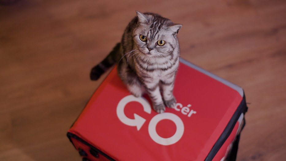 Így lesz a futártáskából cicaház