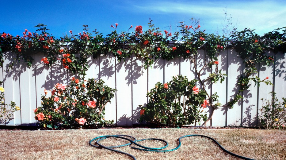 Egyre gyakoribb lesz ezután a hőség és a szárazság a klímaváltozás miatt