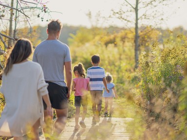 Exek, mostohák, pótszülők, féltestvérek - a mozaikcsaládok mindennapjai
