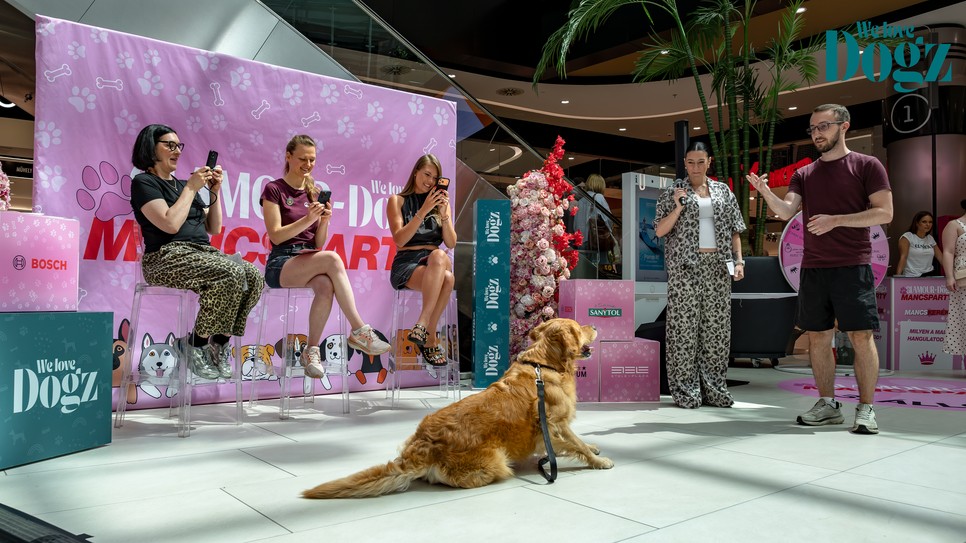 GLAMOUR & WE LOVE DOGZ Mancsparty