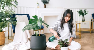 5 szobanövény, ami jót tesz az egészségednek, és eddig fogalmad sem volt róla
