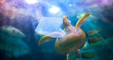 Miért gondol mást négy generáció a fenntarthatóságról?