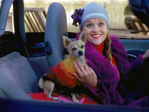 7 dolog, amit nem tudtál a Dr. Szösziről