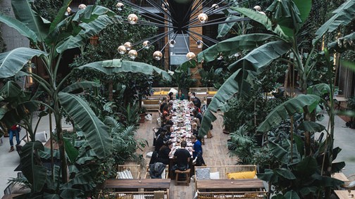 Őserdő nyílt a belvárosban: 500 növény között szürcsölheted el kedvenc koktélodat