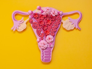 Csak az emberek menstruálnak? Itt a válasz