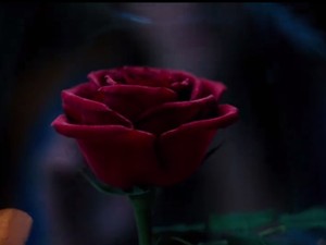 Videó! Itt az első kép Emma Watsonról A szépség és a szörnyetegből!