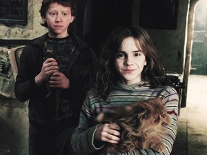 Segítenél milliárdokat spórolni az egészségügynek?