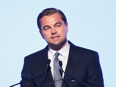 Jajj, ez nekünk fáj: Leonardo DiCapriót keményen fejbe találta egy röplabda