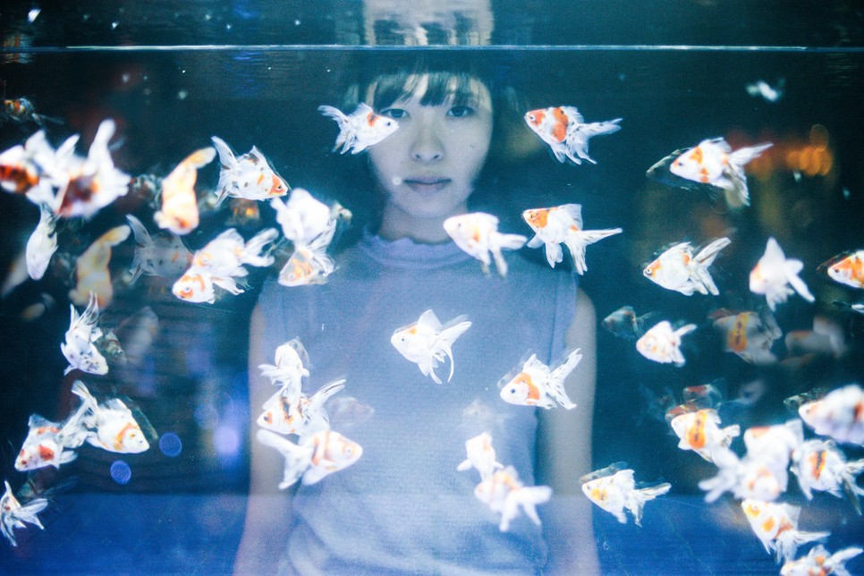 5 kisállat, amit nyugodtan tarthatsz lakásban