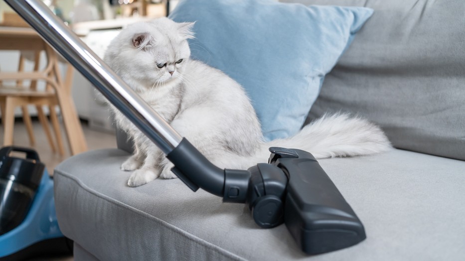 Olykor nagyon oda kell figyelünk, hogyan takarítunk