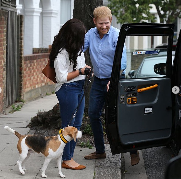 Meghan Markle és Harry herceg sörözgetnek, kutyát sétáltatnak és taxiznak, de van itt egy kis bökkenő