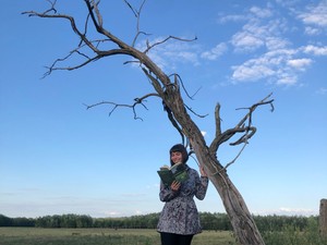 A hét könyve - Peter Wohlleben: A természet rejtett hálózata